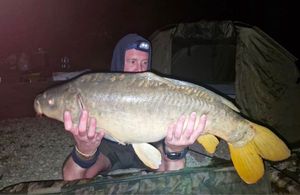 Mirror Carp
