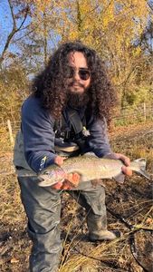 Rainbow Trout