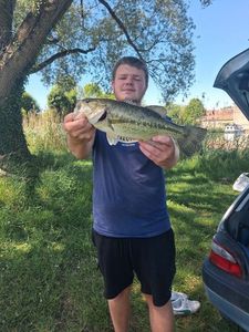 Largemouth Bass