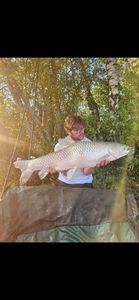 Grass Carp