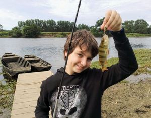 European Perch