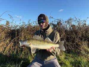 Zander