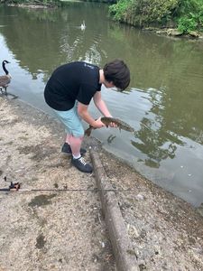 Northern Pike