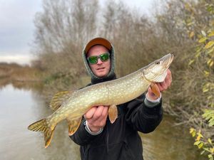 Northern Pike