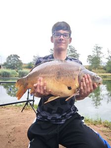 Mirror Carp