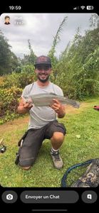 Rainbow Trout