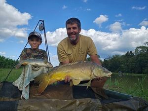 Mirror Carp