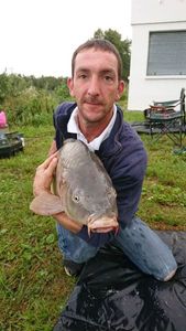 Common Carp