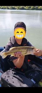 Largemouth Bass