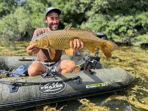 Common Carp
