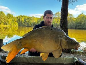 Mirror Carp