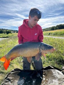 Mirror Carp
