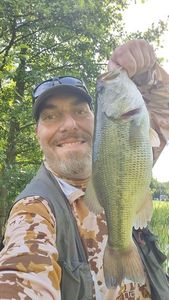 Largemouth Bass
