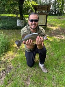 Largemouth Bass