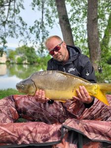 Mirror Carp