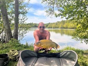 Tench