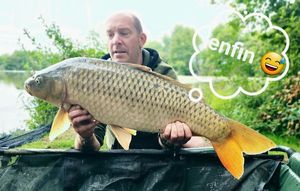 Common Carp