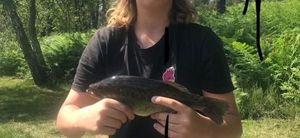 Smallmouth Bass