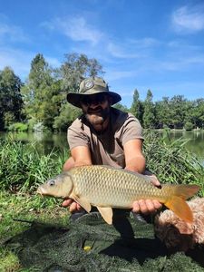 Common Carp
