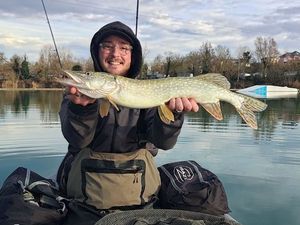 Northern Pike