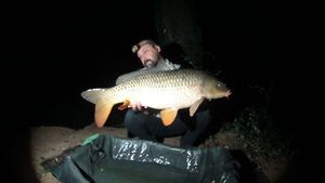 Common Carp