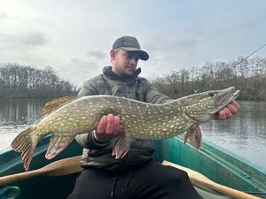 Northern Pike