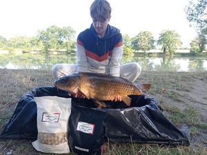 Common Carp
