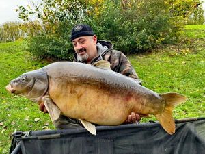 Mirror Carp