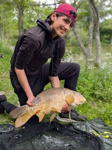Mirror Carp