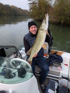 Northern Pike