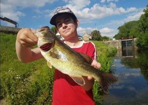 Largemouth Bass