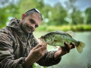 Largemouth Bass