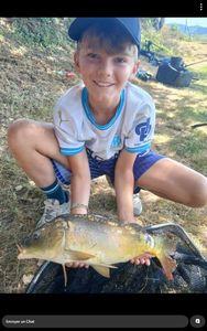 Mirror Carp