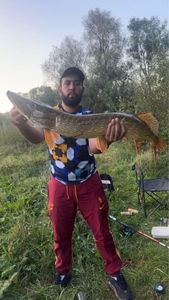 Northern Pike