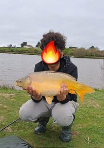 Mirror Carp