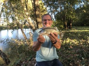 Black Bass (Achigan à Grande Bouche)