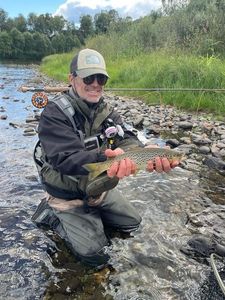 Rainbow Trout