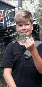 European Perch