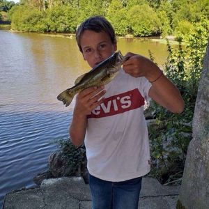 Largemouth Bass
