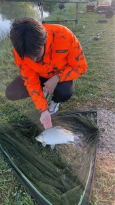Crucian Carp