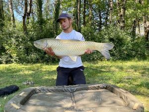 Grass Carp
