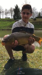 Mirror Carp