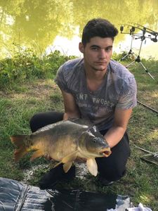 Common Carp