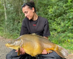 Mirror Carp