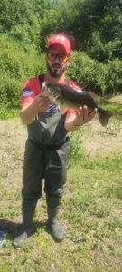 Largemouth Bass