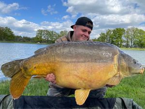 Mirror Carp