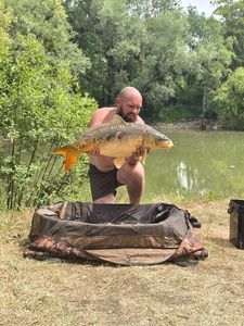 Mirror Carp