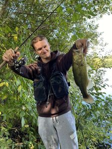 Largemouth Bass