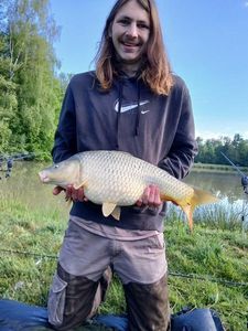 Grass Carp