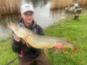 Northern Pike